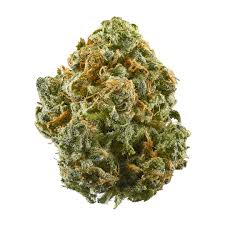 Velvet Haze | Big Bud | 3.5g