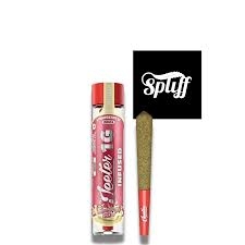 Infused Joint | Sauce Coated | 1g